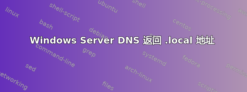 Windows Server DNS 返回 .local 地址