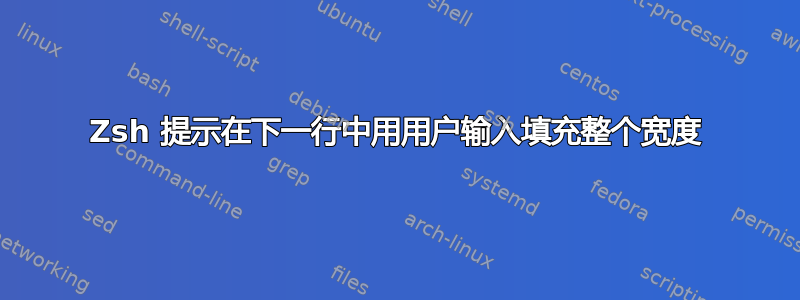 Zsh 提示在下一行中用用户输入填充整个宽度