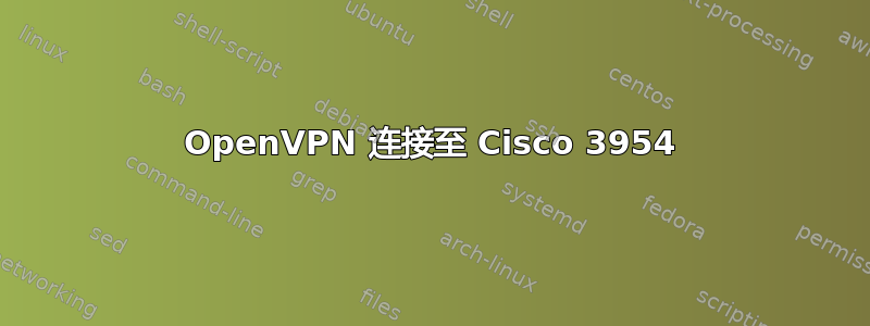 OpenVPN 连接至 Cisco 3954