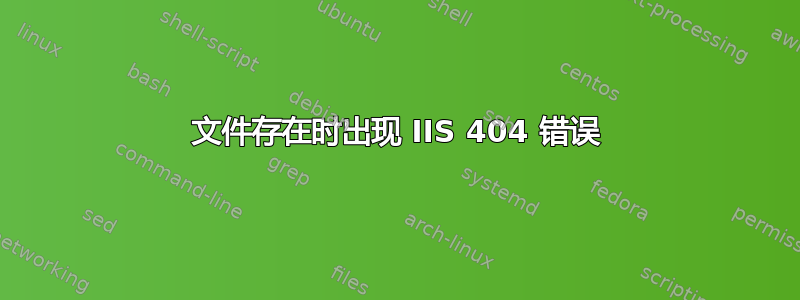 文件存在时出现 IIS 404 错误