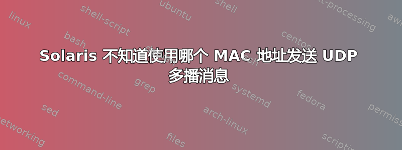 Solaris 不知道使用哪个 MAC 地址发送 UDP 多播消息