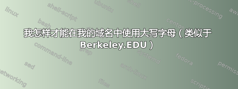 我怎样才能在我的域名中使用大写字母（类似于 Berkeley.EDU）