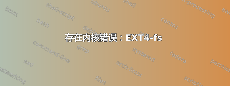 存在内核错误：EXT4-fs