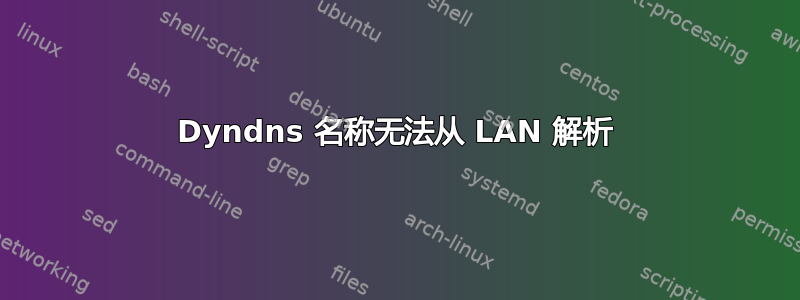 Dyndns 名称无法从 LAN 解析