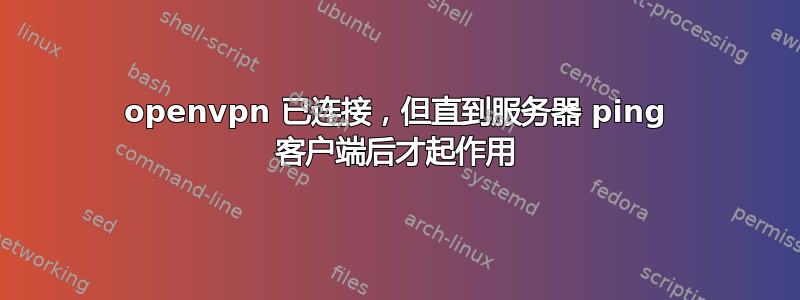 openvpn 已连接，但直到服务器 ping 客户端后才起作用