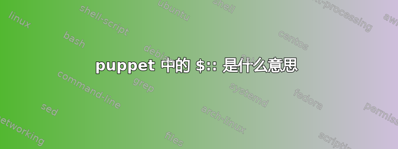 puppet 中的 $:: 是什么意思