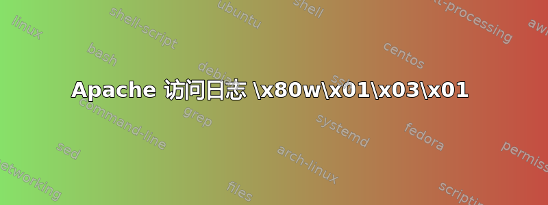 Apache 访问日志 \x80w\x01\x03\x01