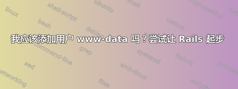 我应该添加用户 www-data 吗？尝试让 Rails 起步