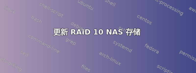 更新 RAID 10 NAS 存储
