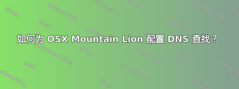 如何为 OSX Mountain Lion 配置 DNS 查找？