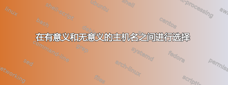 在有意义和无意义的主机名之间进行选择