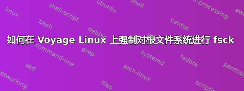 如何在 Voyage Linux 上强制对根文件系统进行 fsck