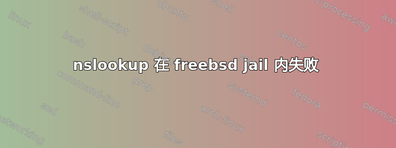 nslookup 在 freebsd jail 内失败