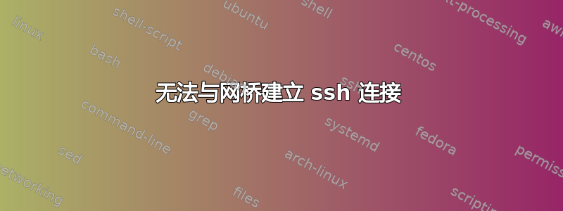 无法与网桥建立 ssh 连接