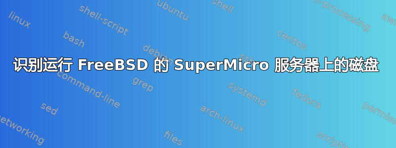 识别运行 FreeBSD 的 SuperMicro 服务器上的磁盘