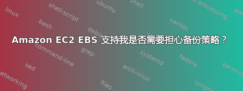 Amazon EC2 EBS 支持我是否需要担心备份策略？