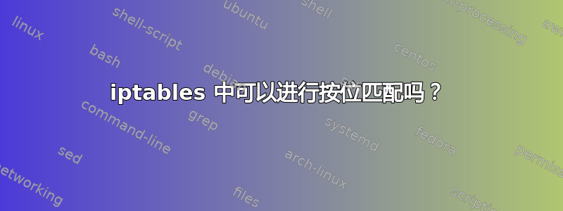 iptables 中可以进行按位匹配吗？