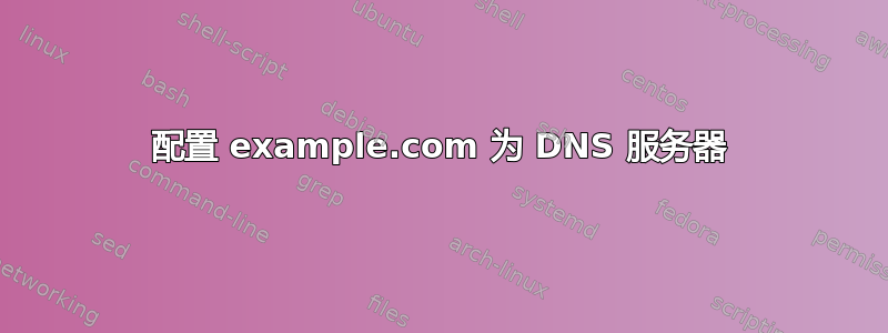 配置 example.com 为 DNS 服务器