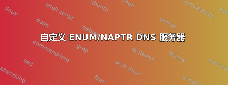 自定义 ENUM/NAPTR DNS 服务器