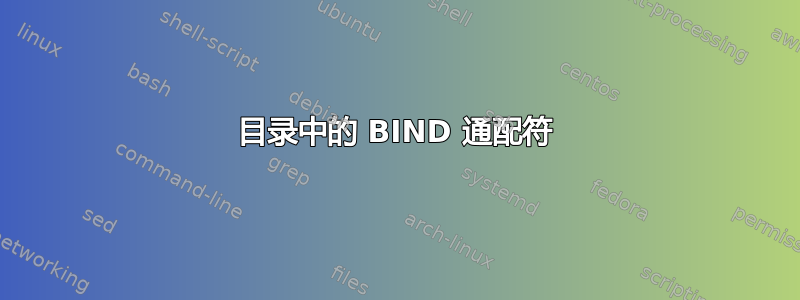 目录中的 BIND 通配符