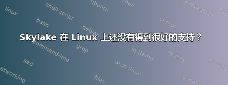 Skylake 在 Linux 上还没有得到很好的支持？ 