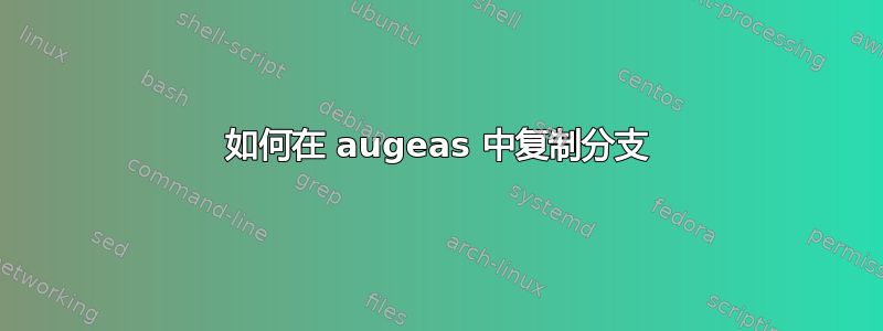 如何在 augeas 中复制分支