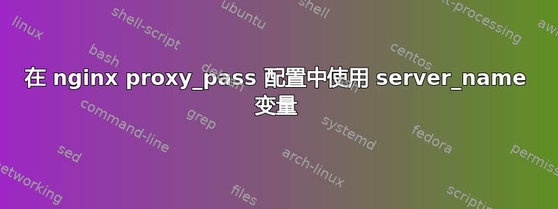 在 nginx proxy_pass 配置中使用 server_name 变量