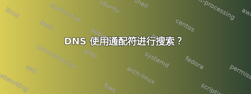 DNS 使用通配符进行搜索？