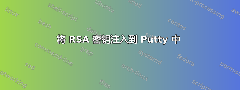 将 RSA 密钥注入到 Putty 中