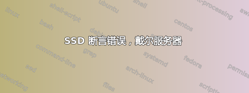 SSD 断言错误，戴尔服务器