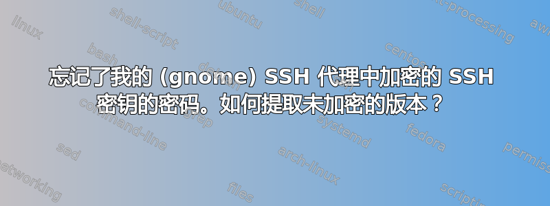 忘记了我的 (gnome) SSH 代理中加​​密的 SSH 密钥的密码。如何提取未加密的版本？