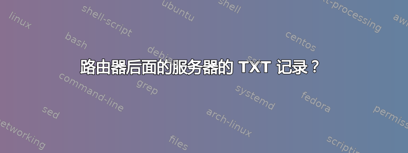 路由器后面的服务器的 TXT 记录？