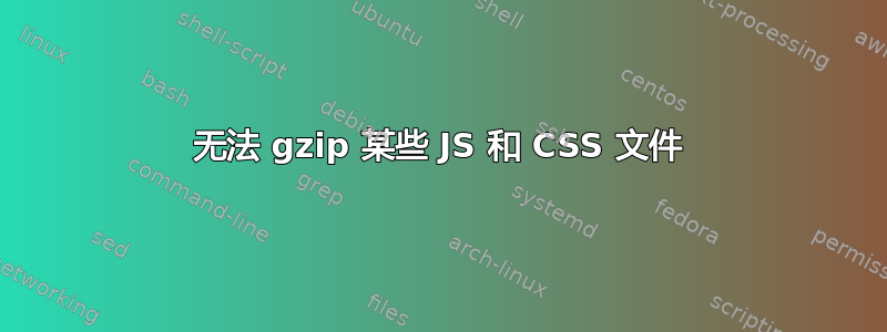 无法 gzip 某些 JS 和 CSS 文件