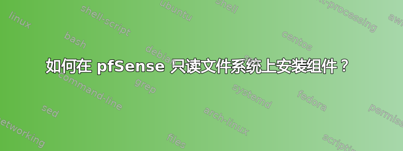 如何在 pfSense 只读文件系统上安装组件？