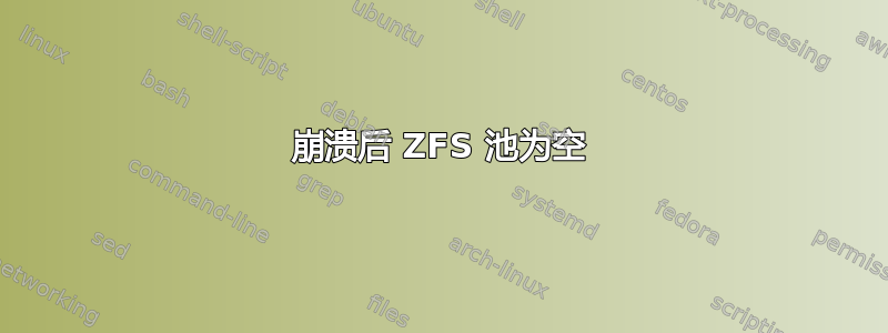 崩溃后 ZFS 池为空