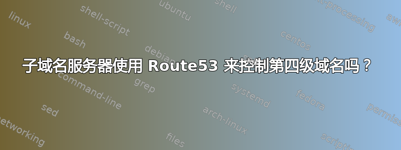 子域名服务器使用 Route53 来控制第四级域名吗？