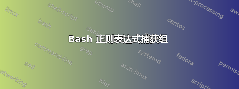 Bash 正则表达式捕获组