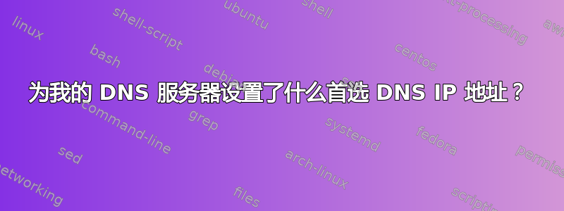 为我的 DNS 服务器设置了什么首选 DNS IP 地址？