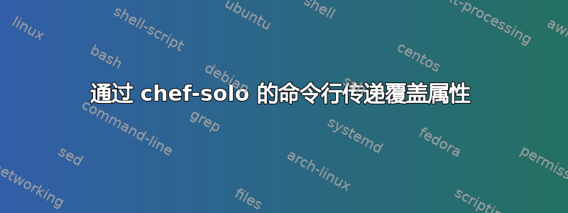 通过 chef-solo 的命令行传递覆盖属性