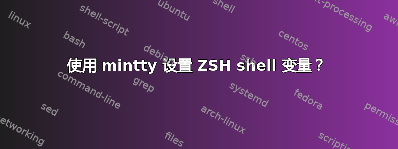 使用 mintty 设置 ZSH shell 变量？