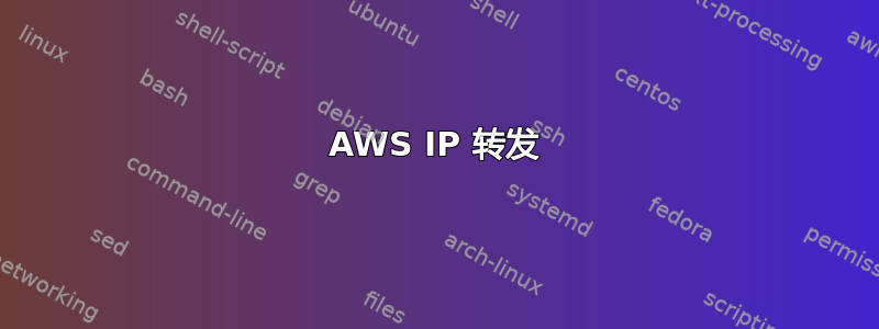 AWS IP 转发