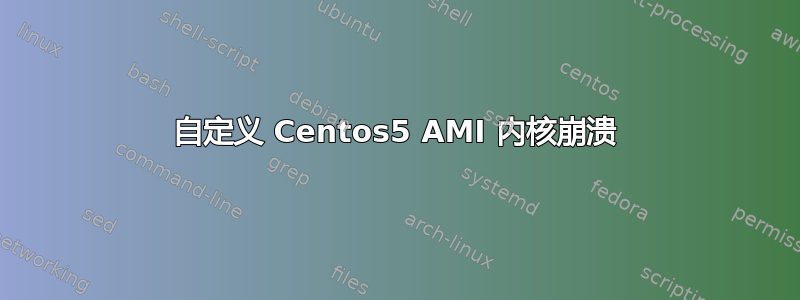 自定义 Centos5 AMI 内核崩溃