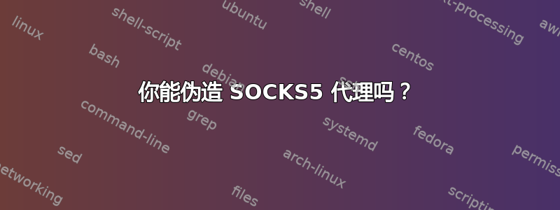 你能伪造 SOCKS5 代理吗？