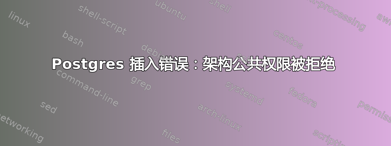 Postgres 插入错误：架构公共权限被拒绝