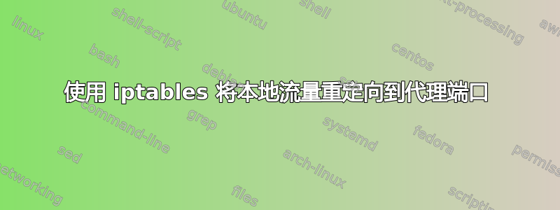 使用 iptables 将本地流量重定向到代理端口