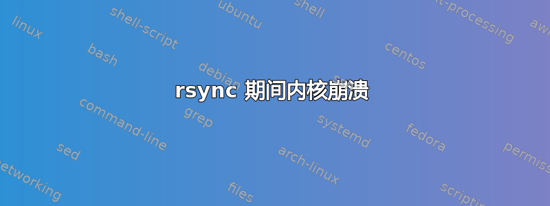 rsync 期间内核崩溃