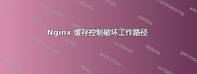 Nginx 缓存控制破坏工作路径