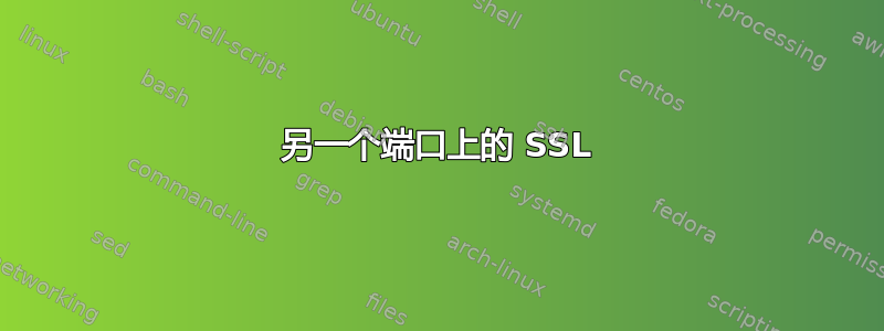 另一个端口上的 SSL