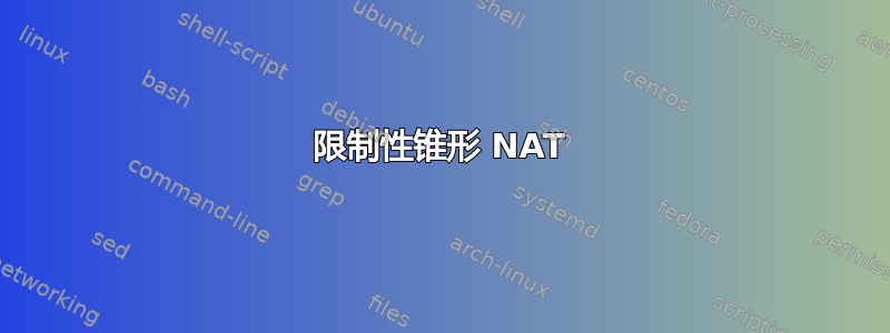 限制性锥形 NAT