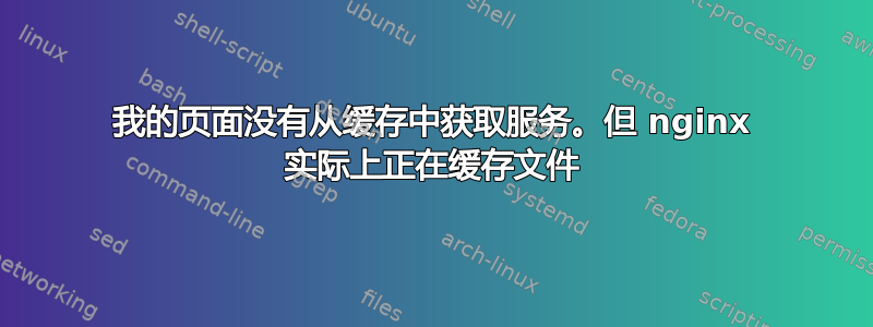 我的页面没有从缓存中获取服务。但 nginx 实际上正在缓存文件